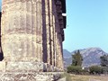 1963.08-Paestum (7)